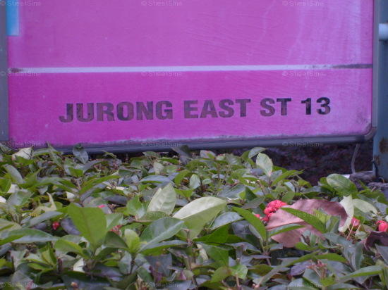 Jurong East Street 13 #105602
